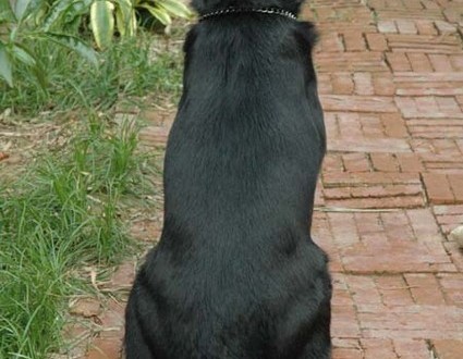 1380945573-3523924828