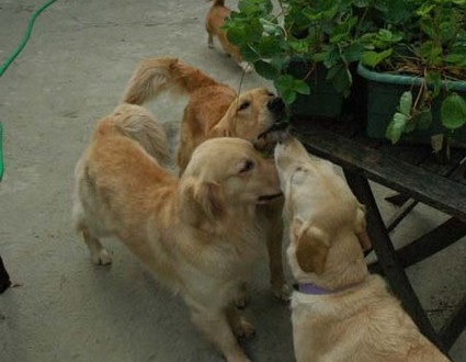 1380945574-1690185207