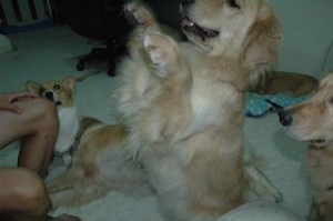 1380945583-2013301707