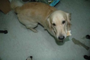 1380945583-2707771527