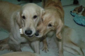 1380945584-1827647970