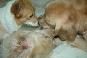 1380945584-3517828534