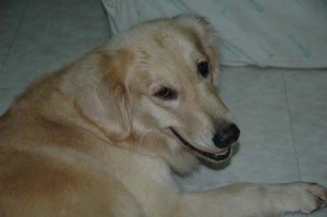 1380945585-3782362846