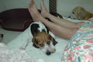 1380945587-272150670