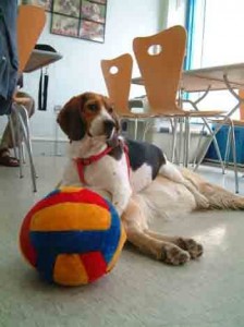 1380945588-3250936631