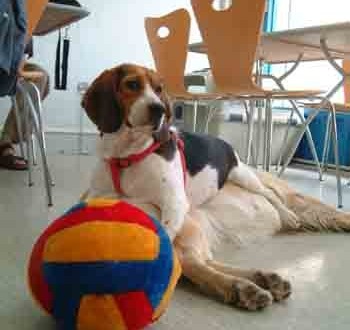 1380945588-3250936631