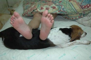 1380945588-3504620398