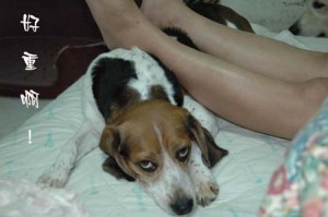 1380945589-4172665640