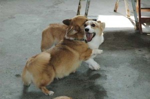 1380945590-832700066