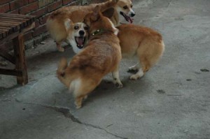 1380945591-4129525617