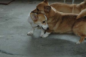 1380945591-773484586