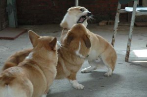 1380945592-1682895519