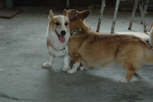 1380945592-4136537654