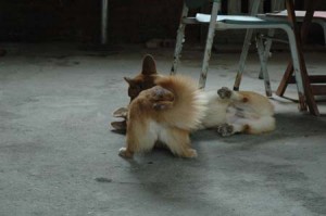 1380945593-2971542623