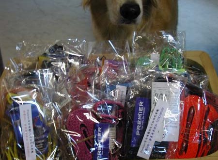 1380945595-3101605823