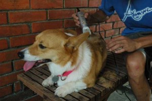 1380945597-1176850496