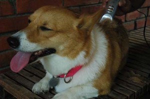 1380945597-3715467826