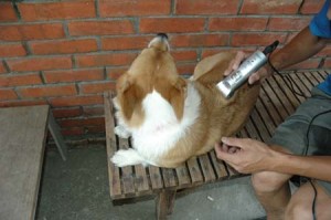 1380945598-1485500049