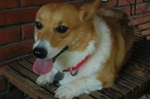 1380945598-4205123246