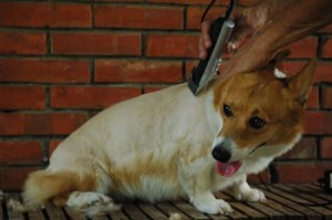 1380945598-476255174