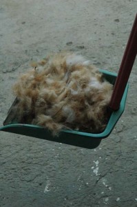 1380945599-1105024025