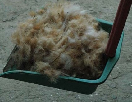 1380945599-1105024025