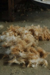 1380945599-1848204017