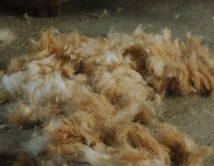 1380945599-1848204017