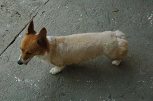 1380945599-2904636923