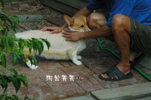 1380945600-803987676