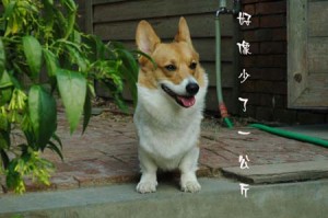 1380945601-2481399798