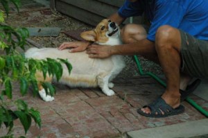 1380945601-3688971238