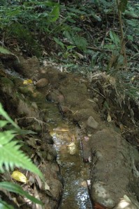 1380945603-4268127696