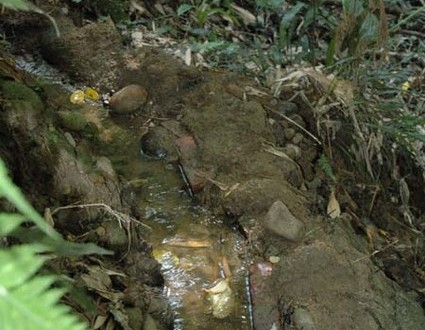 1380945603-4268127696