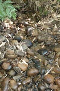 1380945604-3354782899