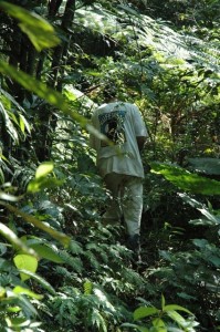 1380945605-921108757