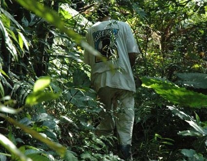 1380945605-921108757