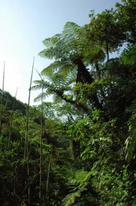 1380945606-2826921461