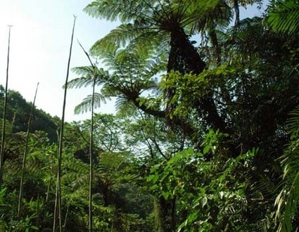 1380945606-2826921461