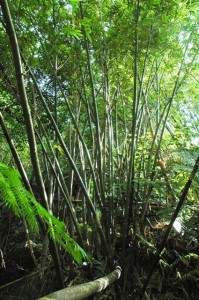 1380945607-2266900431