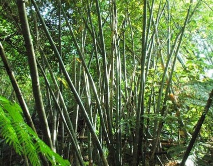 1380945607-2266900431