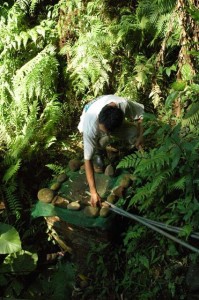 1380945607-614874291