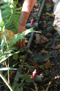 1380945608-459412677