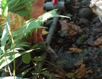 1380945608-459412677