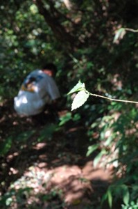 1380945609-3754430814