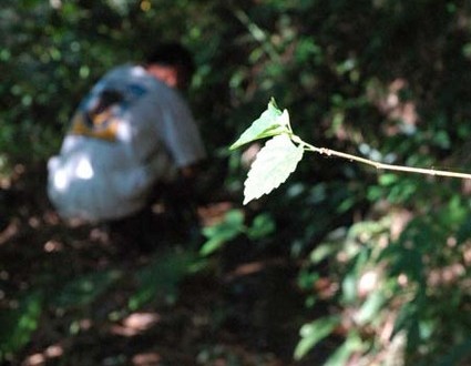 1380945609-3754430814