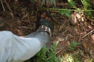 1380945610-3539783990