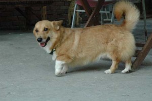 1380945612-3164888226