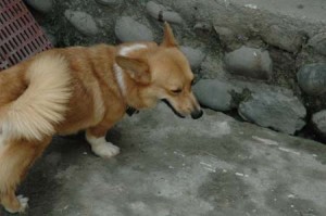 1380945613-2340948250