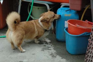 1380945613-3455342311